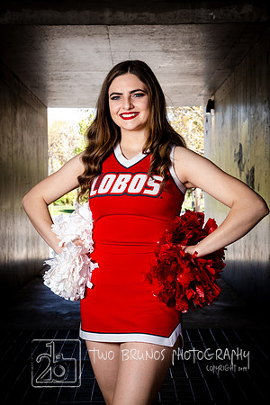 UNM Cheer 19-1301