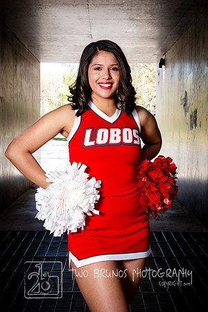 UNM Cheer 19-1304