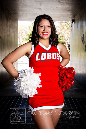 UNM Cheer 19-1306