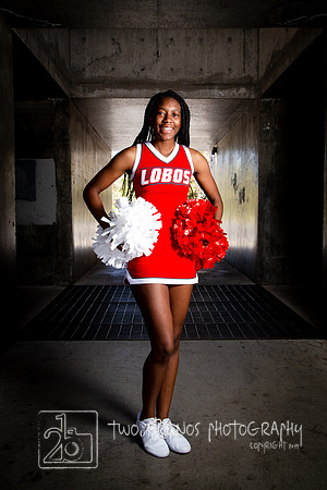 UNM Cheer 19-1310