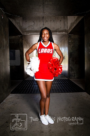 UNM Cheer 19-1315