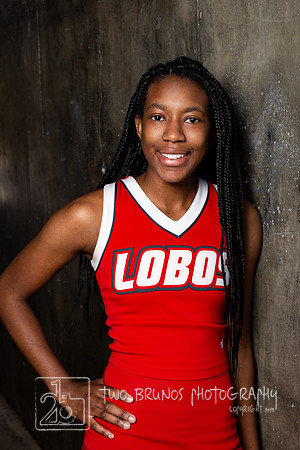 UNM Cheer 19-4545