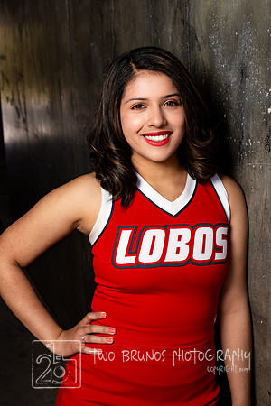 UNM Cheer 19-4560