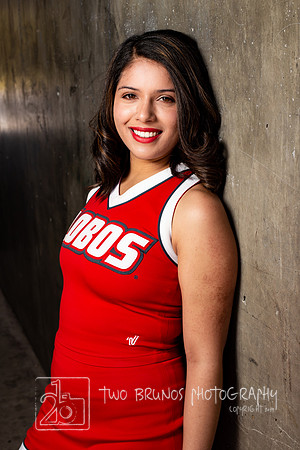 UNM Cheer 19-4564