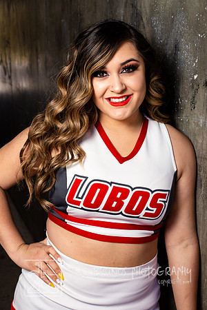UNM Cheer 19-4567