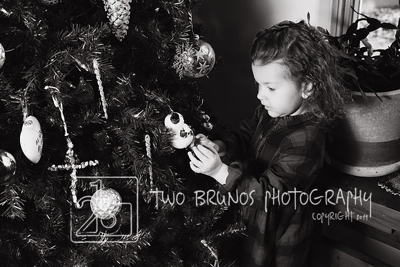 Tighe Christmas-9468-2