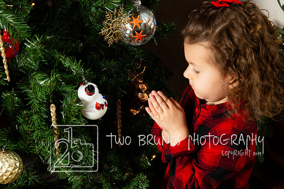 Tighe Christmas-9471