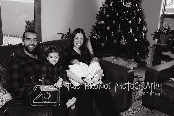Tighe Christmas-9494-2