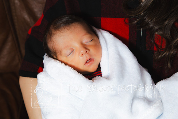 Tighe Christmas-9501