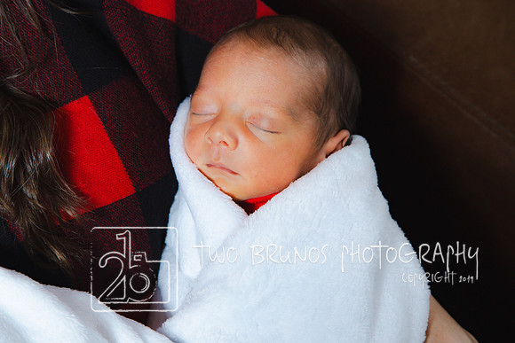 Tighe Christmas-9504