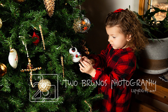 Tighe Christmas-9468