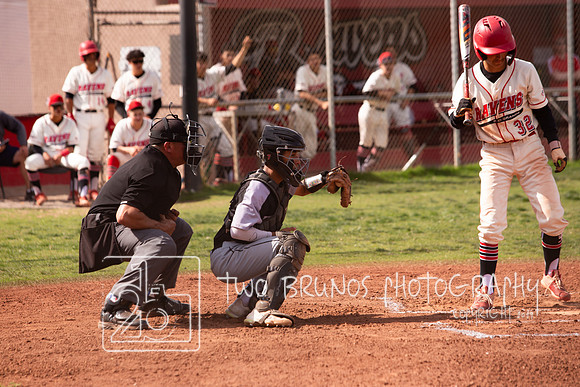 RGHS2-2869