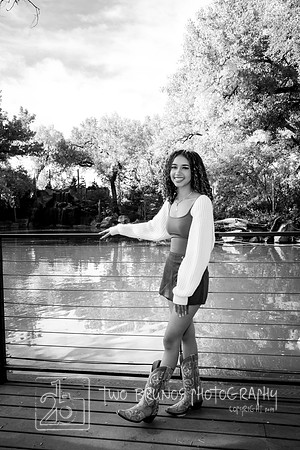 Tiana 0783-2