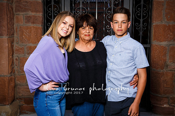 Davis 2018-0379