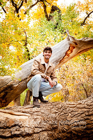 Ryan-0986