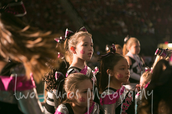 Group Cheersport-1019