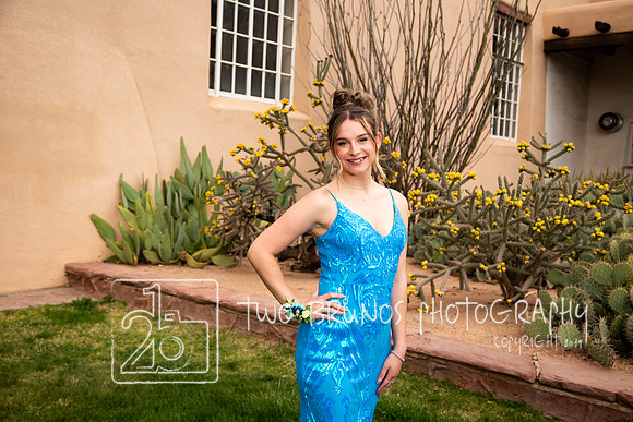 VVHS Prom 24-2689