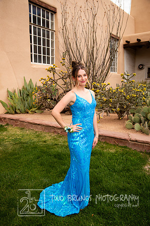 VVHS Prom 24-2685