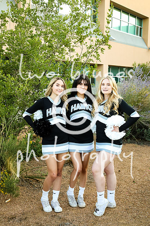 VVHS Cheer 2122-2211